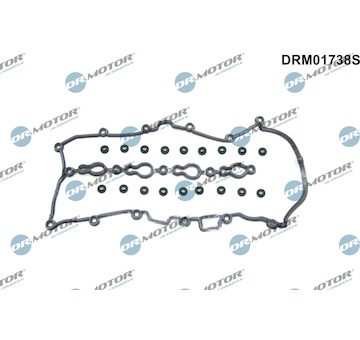 Sada těsnění, kryt hlavy válce Dr.Motor Automotive DRM01738S