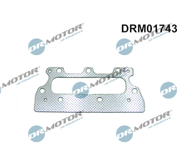 Těsnění, kolektor výfukových plynů Dr.Motor Automotive DRM01743