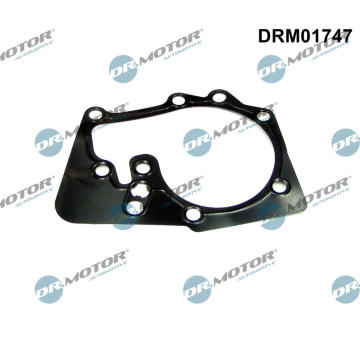 Těsnění, vodní čerpadlo Dr.Motor Automotive DRM01747