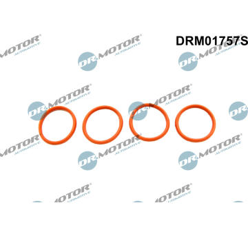 Sada těsnění, koleno sacího potrubí Dr.Motor Automotive DRM01757S