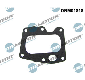 Těsnění, AGR ventil Dr.Motor Automotive DRM01818