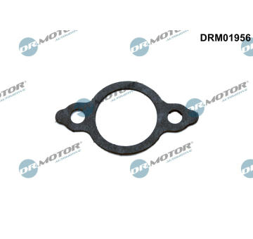 Těsnění, vedení AGR ventilu Dr.Motor Automotive DRM01956