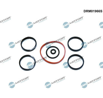 Sada těsnění, koleno sacího potrubí Dr.Motor Automotive DRM01966S