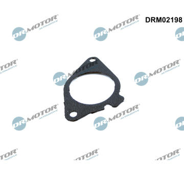 Tesneni, AGR ventil Dr.Motor Automotive DRM02198