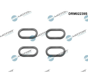 Těsnění, držák trysky Dr.Motor Automotive DRM02239S