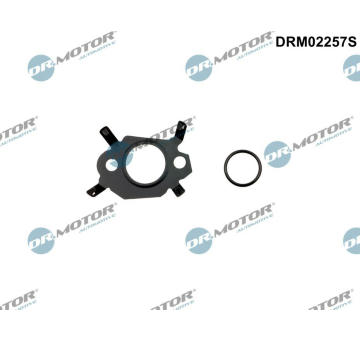 Sada tesneni, AGR system Dr.Motor Automotive DRM02257S