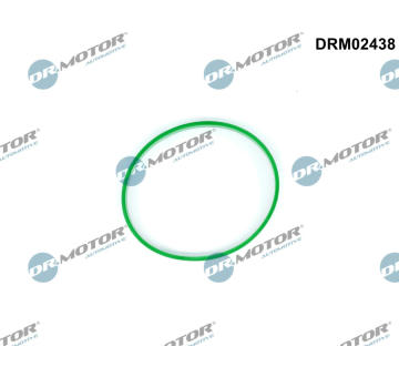 Těsnění, hrdlo škrtící klapky Dr.Motor Automotive DRM02438