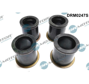 Tesneni, drzak trysky Dr.Motor Automotive DRM0247S