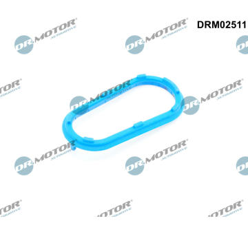 Těsnění, dmychadlo Dr.Motor Automotive DRM02511