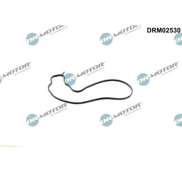 Tesnenie vodného čerpadla Dr.Motor Automotive DRM02530