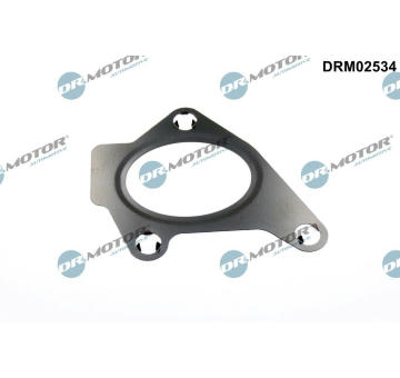 Těsnění, hrdlo škrtící klapky Dr.Motor Automotive DRM02534