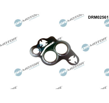 Tesneni, AGR ventil Dr.Motor Automotive DRM02561
