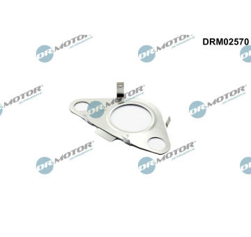 Těsnění, vedení AGR ventilu Dr.Motor Automotive DRM02570