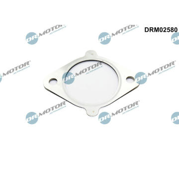 Tesnenie, AGR-Ventil Dr.Motor Automotive DRM02580