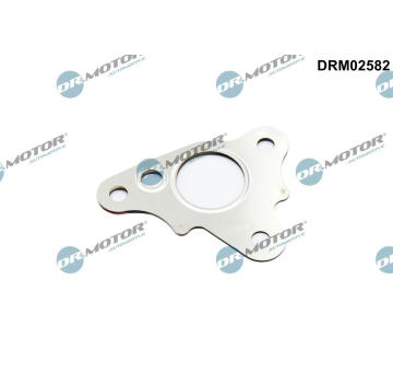Těsnění, vedení AGR ventilu Dr.Motor Automotive DRM02582