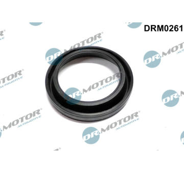 Tesneni, drzak trysky Dr.Motor Automotive DRM0261