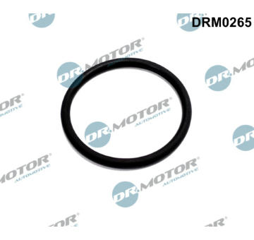 Těsnění, vedení AGR ventilu Dr.Motor Automotive DRM0265