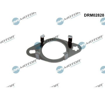 Těsnění, vedení AGR ventilu Dr.Motor Automotive DRM02828