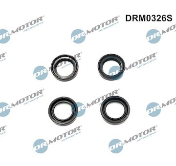 Tesneni, drzak trysky Dr.Motor Automotive DRM0326S