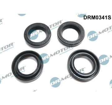 Tesneni, drzak trysky Dr.Motor Automotive DRM0341S