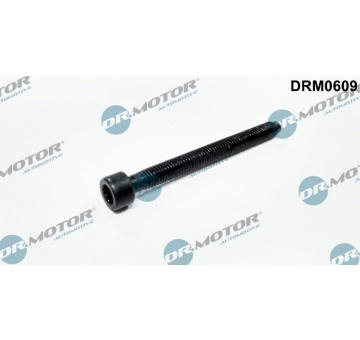 żroub, drżák vstřikovací trysky Dr.Motor Automotive DRM0609