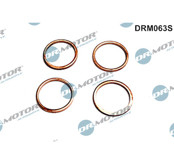 Sada tesneni, vstrikovaci tryska Dr.Motor Automotive DRM063S