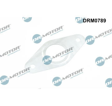 Těsnění, vedení AGR ventilu Dr.Motor Automotive DRM0789