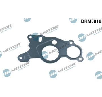 Těsnění, vakuové čerpadlo Dr.Motor Automotive DRM0818