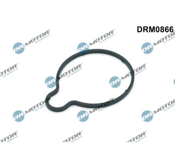 Těsnění, vakuové čerpadlo Dr.Motor Automotive DRM0866