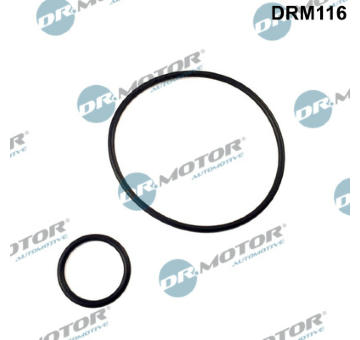 Sada těsnění, koleno sacího potrubí Dr.Motor Automotive DRM116