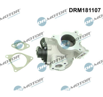 AGR-Ventil Dr.Motor Automotive DRM181107