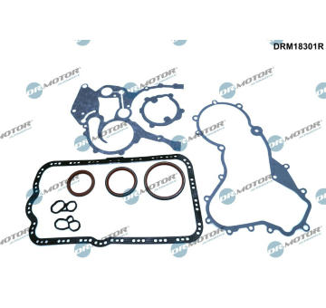 Sada těsnění, kliková skříň Dr.Motor Automotive DRM18301R