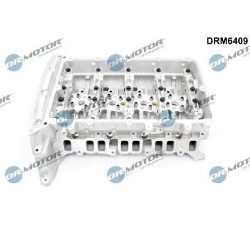 Hlava valcov motora Dr.Motor Automotive DRM6409