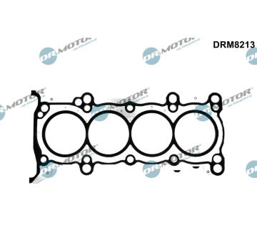 Těsnění, hlava válce Dr.Motor Automotive DRM8213