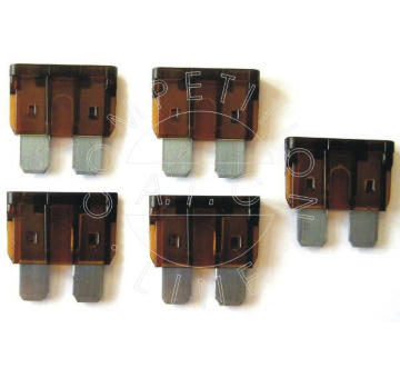Pojistka AIC 52119