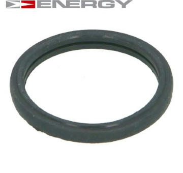 Těsnění, termostat ENERGY 90096383