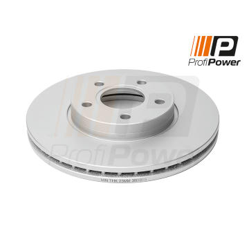 Brzdový kotouč ProfiPower 3B1015