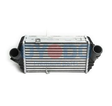 Chladič plniaceho vzduchu Oyodo 60C0303-OYO