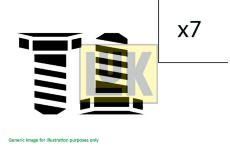 Sada sroubu, setrvacnik Schaeffler LuK 411 0186 10