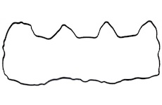 Těsnění, kryt hlavy válce ELRING 305.610