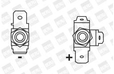 Zapalovací cívka BorgWarner (BERU) ZS123