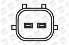 Zapalovací cívka BorgWarner (BERU) ZS376