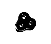 Gumový popruh, výfukový systém WALKER 80180