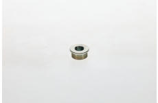 Skrutka BOSCH 1 423 462 099