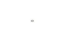 Těsnící kroužek Bosch 2440210010