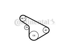 Sada žebrovaných klínových řemenů CONTINENTAL CTAM 5PK1212K1