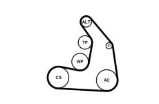 Sada žebrovaných klínových řemenů CONTINENTAL CTAM 5PK1255K1