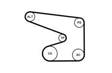 Sada žebrovaných klínových řemenů CONTINENTAL CTAM 5PK1370K1