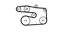 Sada žebrovaných klínových řemenů CONTINENTAL CTAM 5PK1646K1