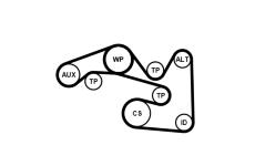 Sada žebrovaných klínových řemenů CONTINENTAL CTAM 5PK491K1